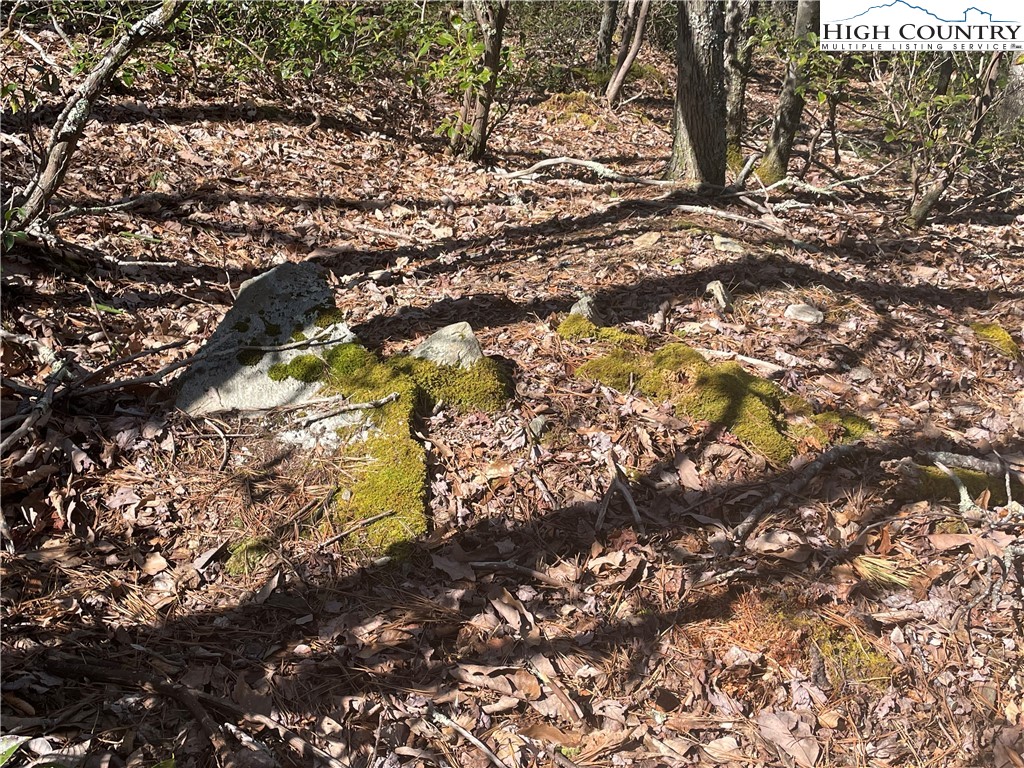 Little Laurel Road Boone, NC 28607 - Photo 15 of 48 Gallery Image 15