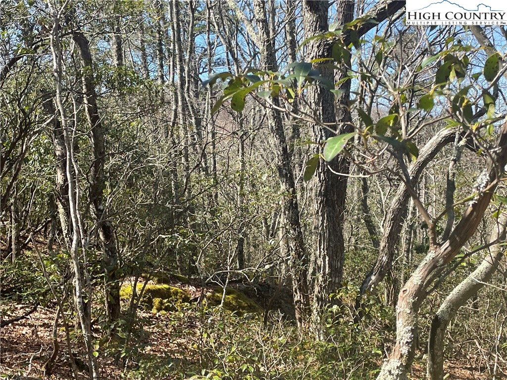 Little Laurel Road Boone, NC 28607 - Photo 16 of 48 Gallery Image 16