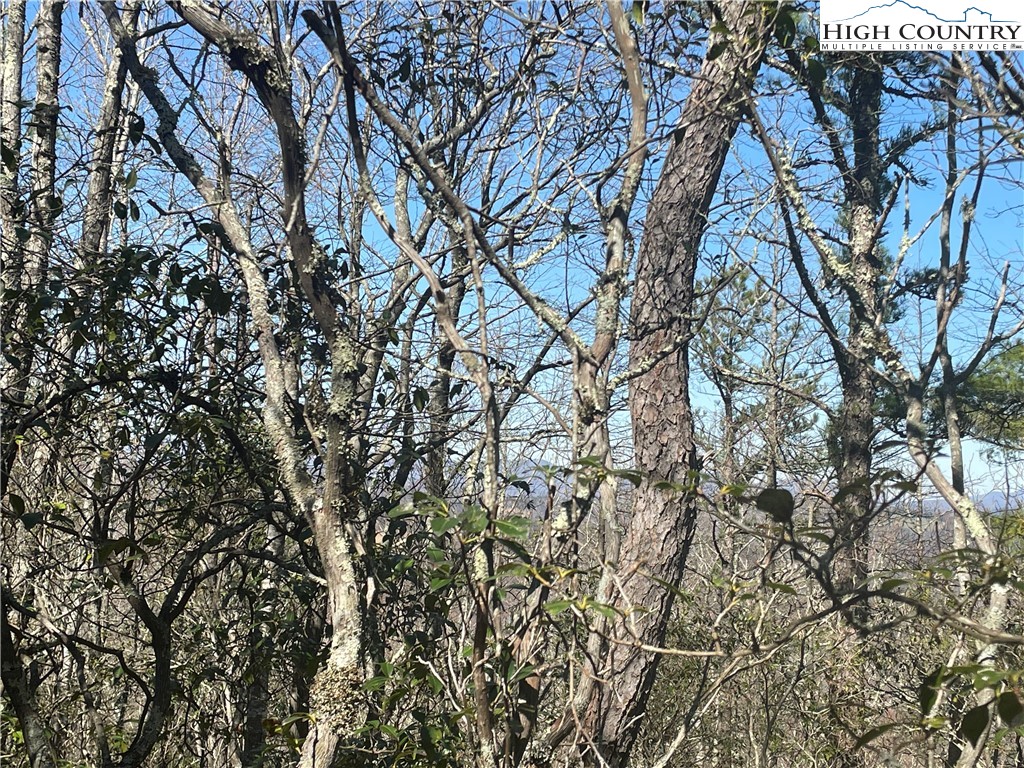 Little Laurel Road Boone, NC 28607 - Photo 19 of 48 Gallery Image 19