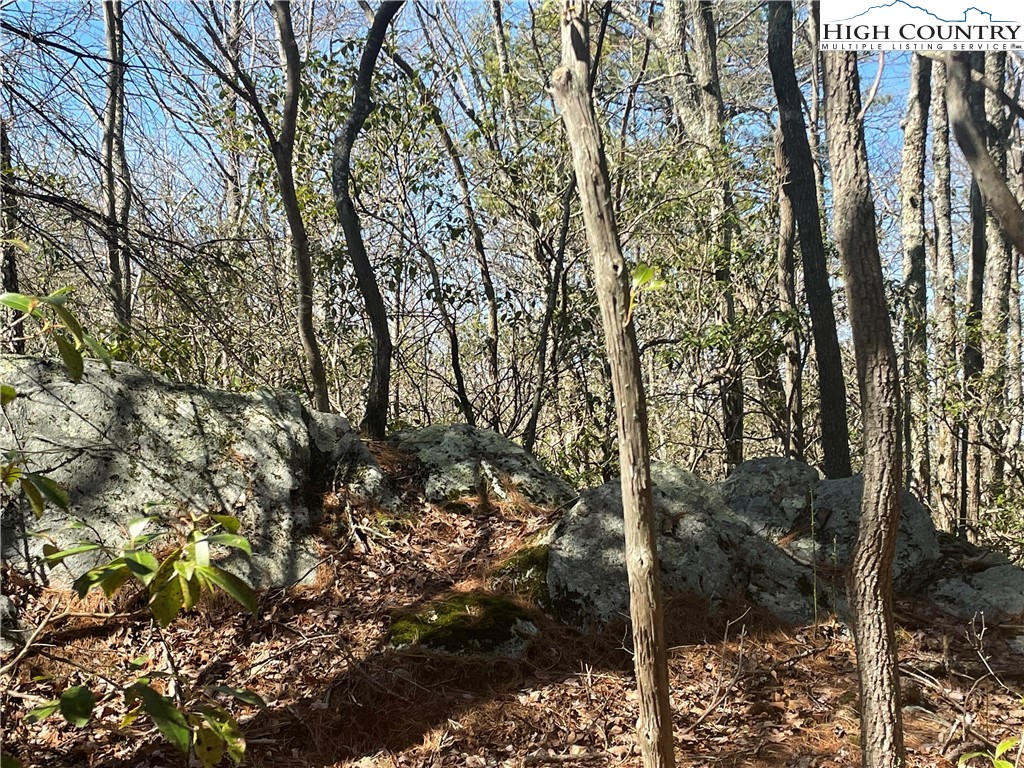 Little Laurel Road Boone, NC 28607 - Photo 23 of 48 Gallery Image 23