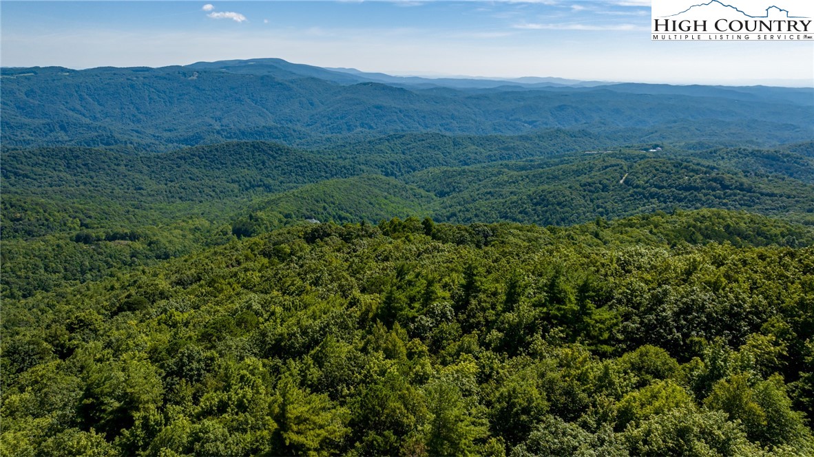 Little Laurel Road Boone, NC 28607 - Photo 39 of 48 Gallery Image 39