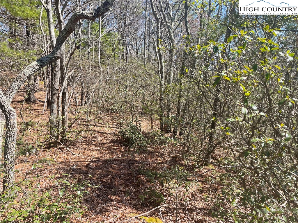 Little Laurel Road Boone, NC 28607 - Photo 4 of 48 Gallery Image 4