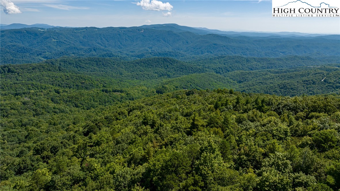Little Laurel Road Boone, NC 28607 - Photo 42 of 48 Gallery Image 42