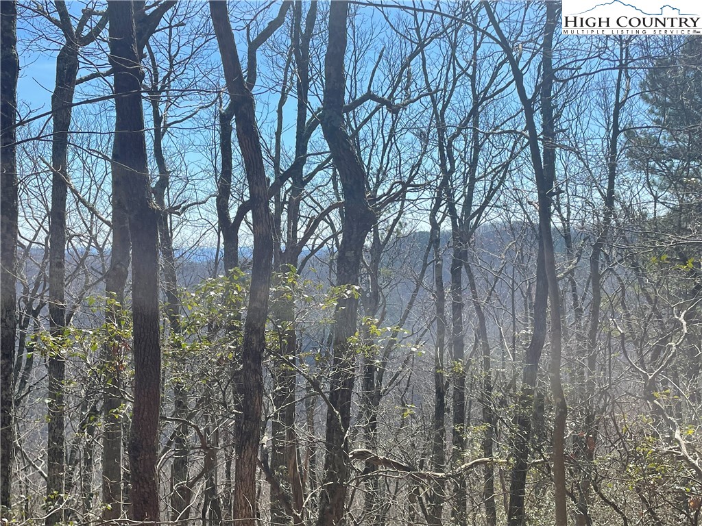 Little Laurel Road Boone, NC 28607 - Photo 10 of 48 Gallery Image 10
