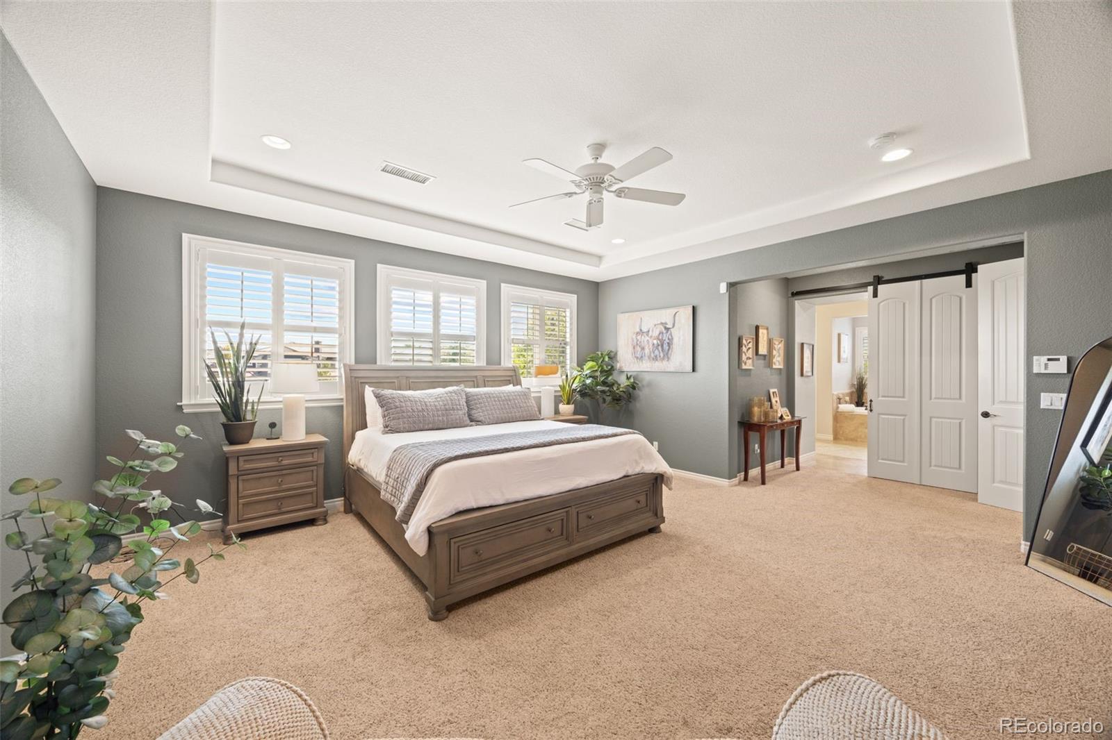 10466 Marigold Court Highlands Ranch, CO 80126 - Photo 17 of 50