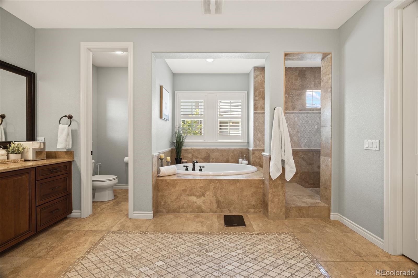 10466 Marigold Court Highlands Ranch, CO 80126 - Photo 19 of 50