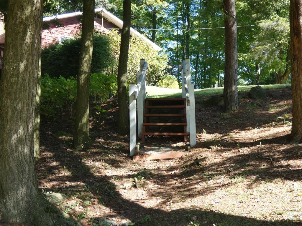 2223 Sandy Lake-Grove City Road Jackson Center, PA 16133 - Photo 29 of 30 a view of a tree in the middle of a yard