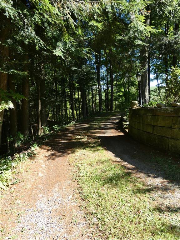 2223 Sandy Lake-Grove City Road Jackson Center, PA 16133 - Photo 30 of 30 a view of road with large trees