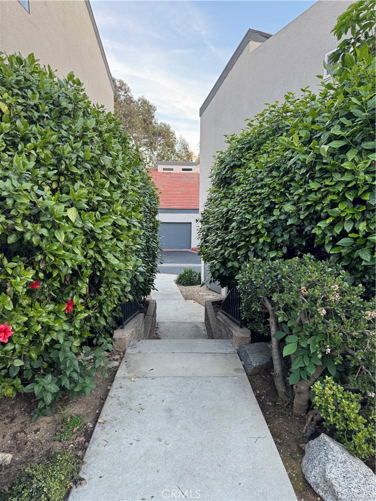 682 East Workman Street Covina, CA 91723 - Photo 5 of 34 a view of a back yard with potted plants