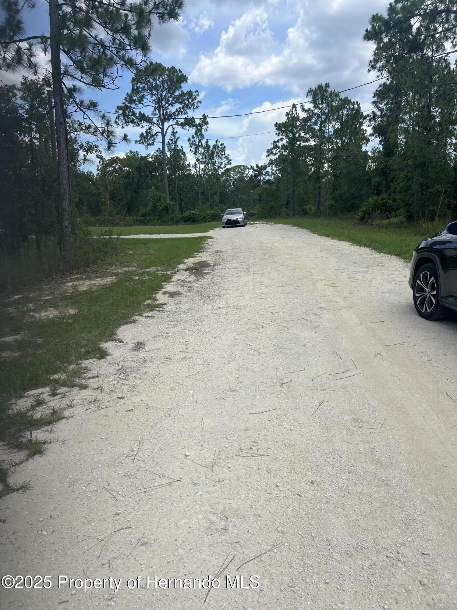 0 Crabapple Road Weeki Wachee, FL 34614 - Photo 6 of 6