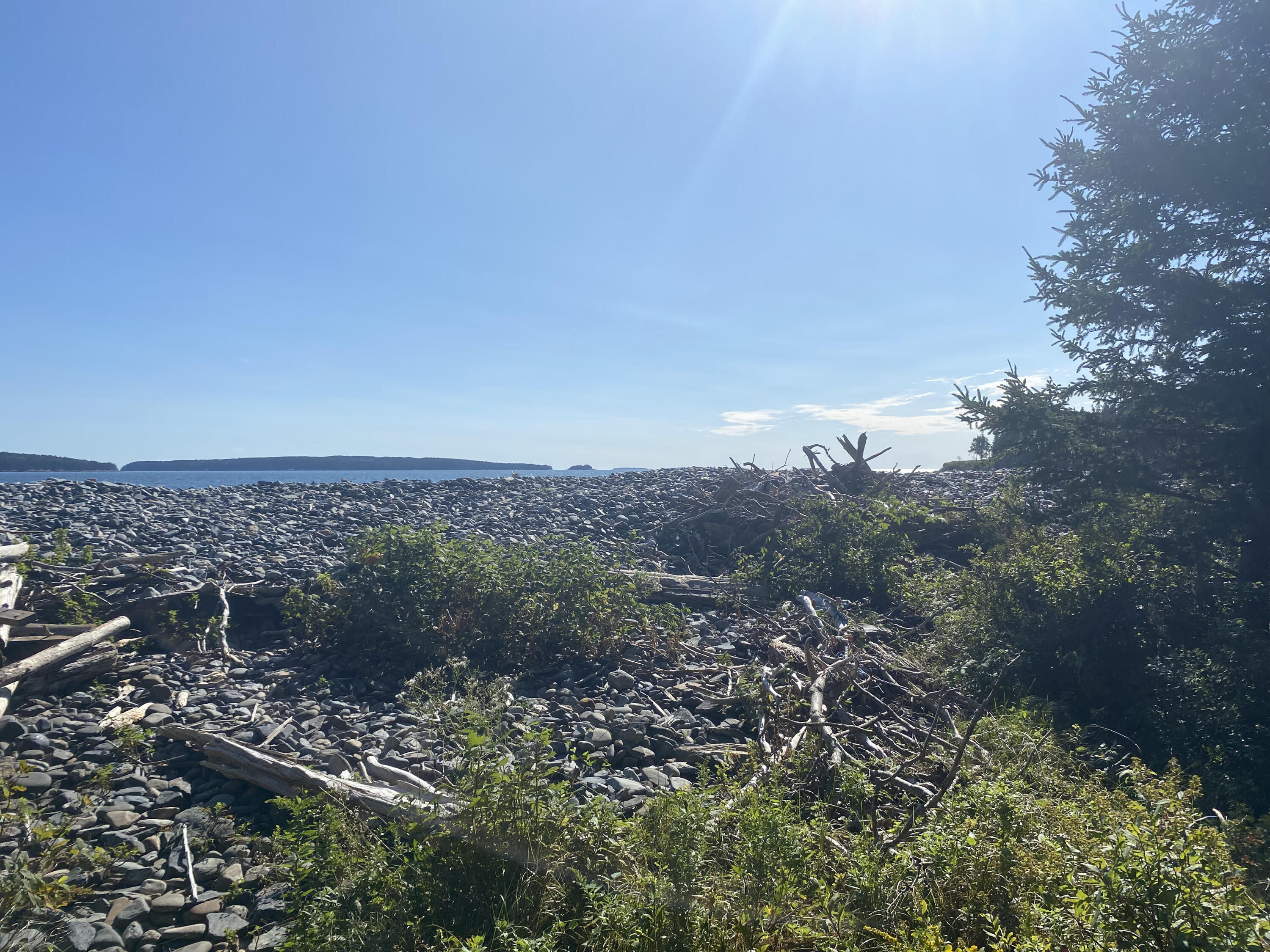 Map14-lot3 Beale Point Road Swans Island, ME 04685 - Photo 5 of 30 Beach 2