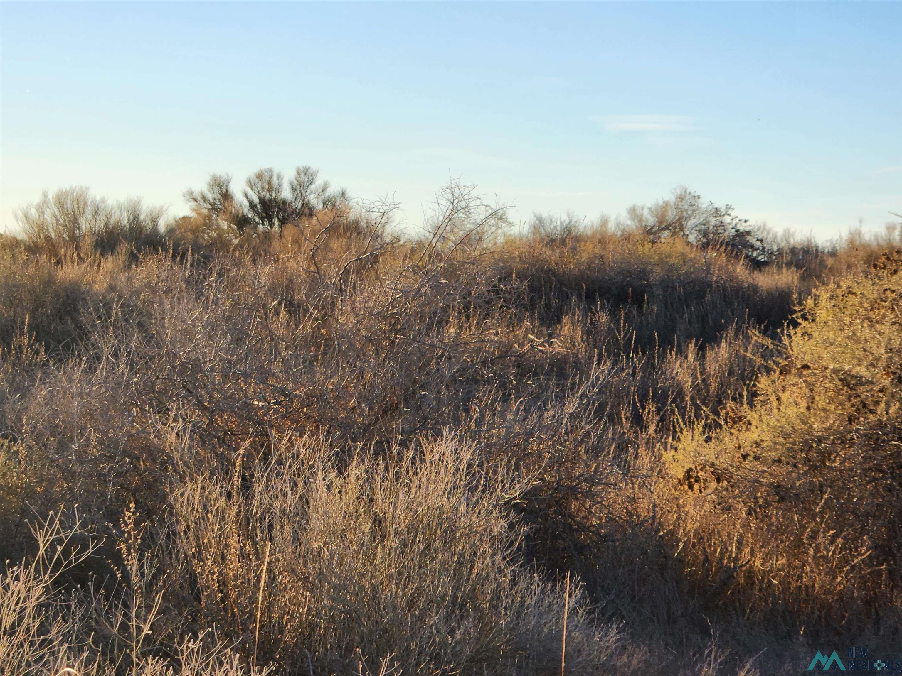 Sunshine Road Southeast Deming, NM 88030 - Photo 1 of 1 Gallery Image 1