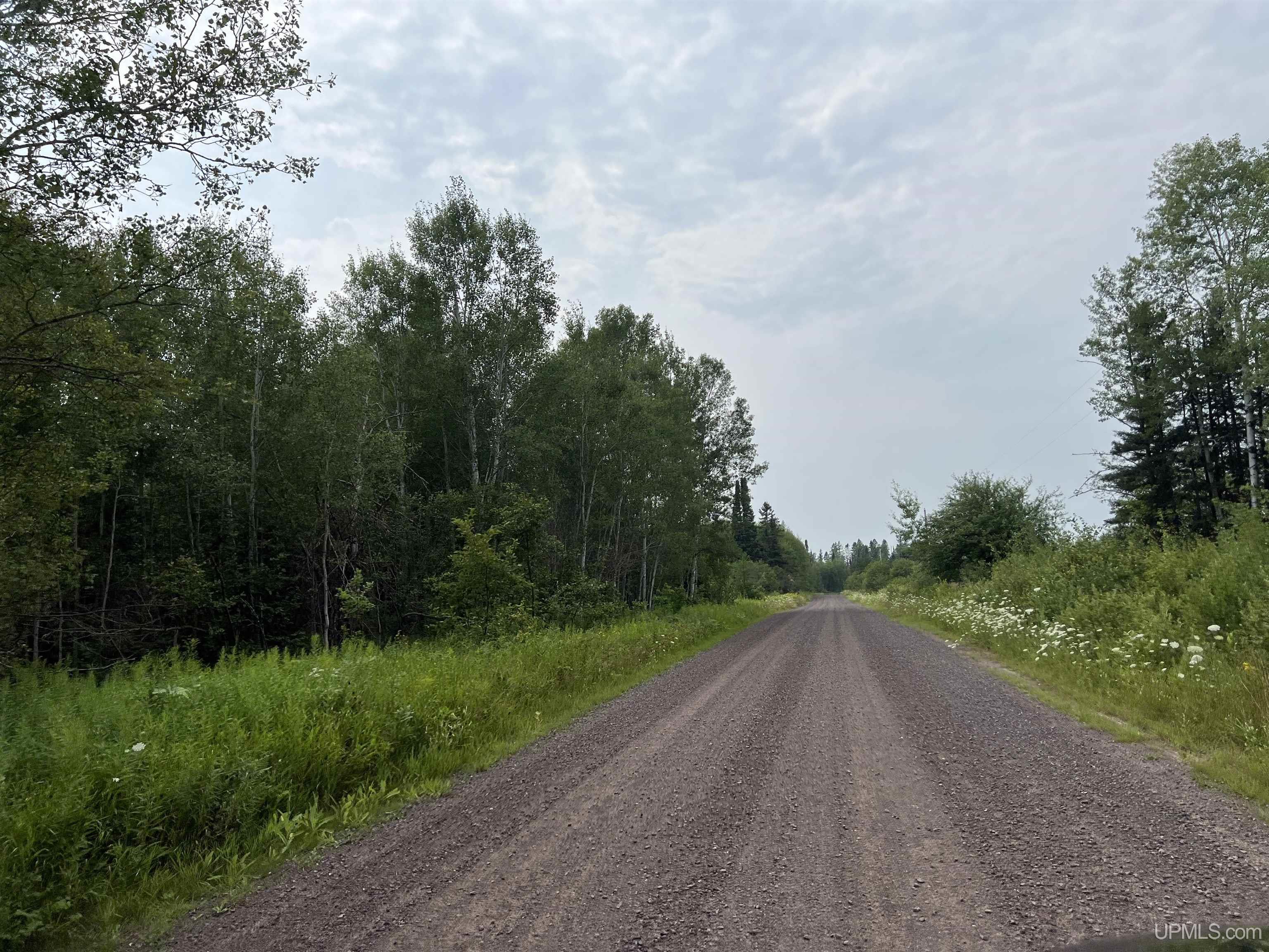 Tbd 40 A Tapio Road Chassell, MI 49916 - Photo 2 of 11