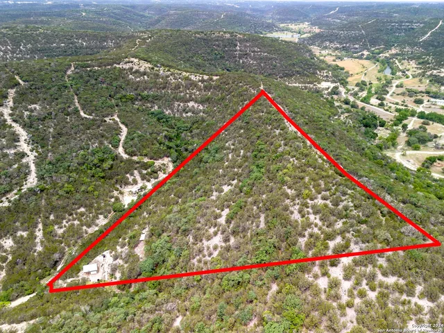 a view of a park with large trees