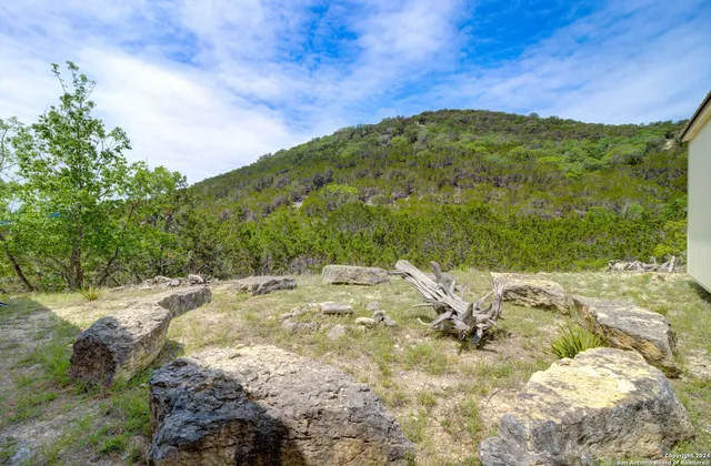a view of a yard with a tree