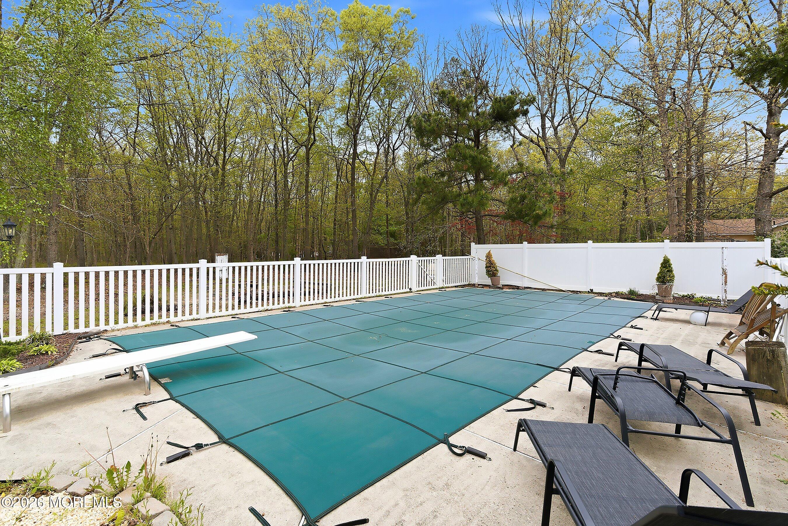 844 Miller Avenue Jackson, NJ 08527 - Photo 33 of 48 34-Pool