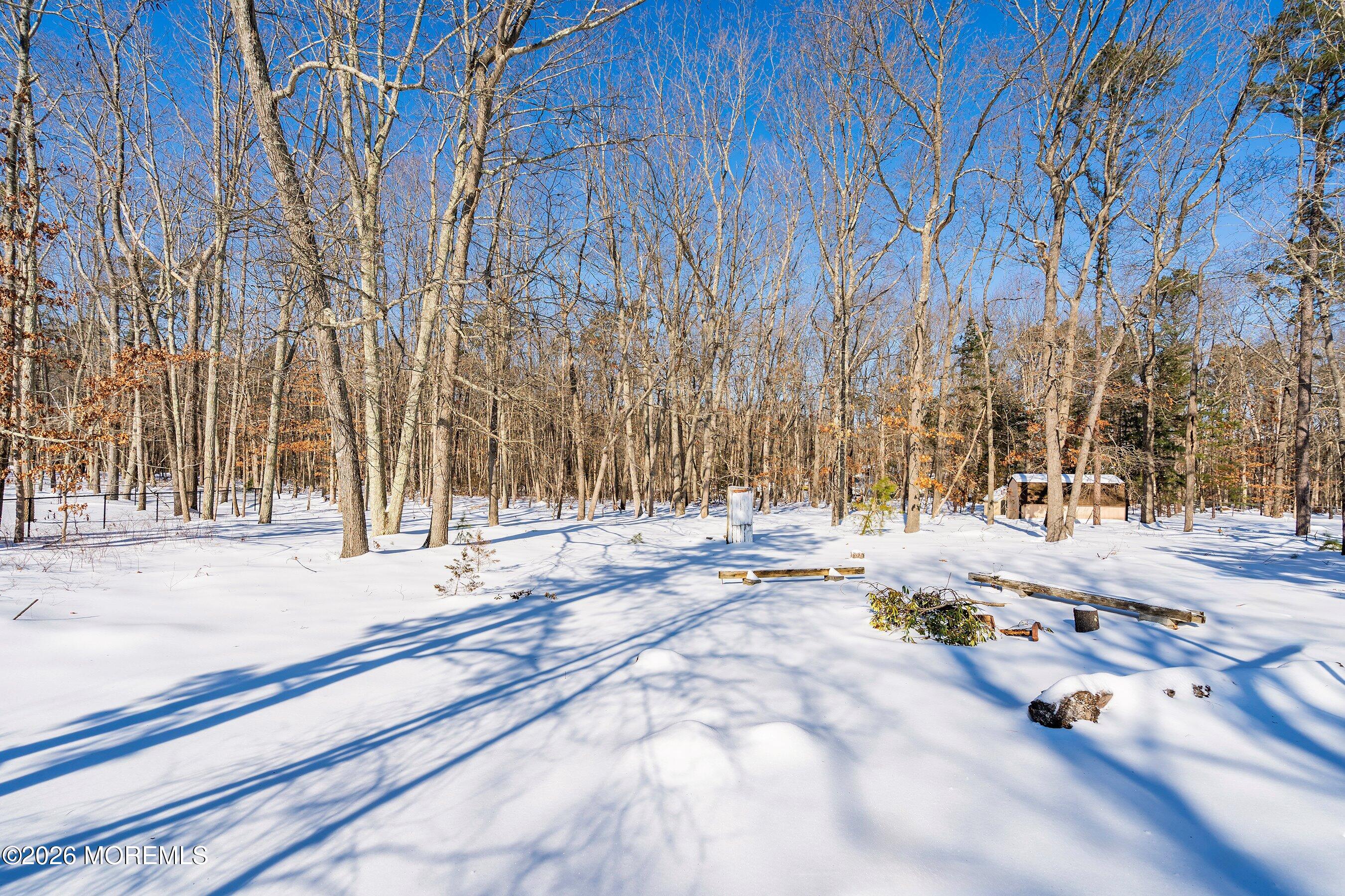 844 Miller Avenue Jackson, NJ 08527 - Photo 37 of 44 29-Backyard