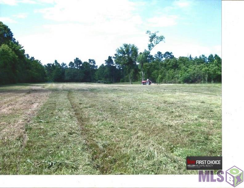 Tbd Jackson Road Zachary, LA 70791 - Photo 3 of 5 Gallery Image 3