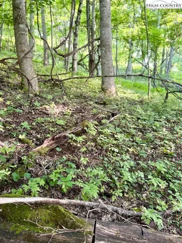 a view of backyard with green space