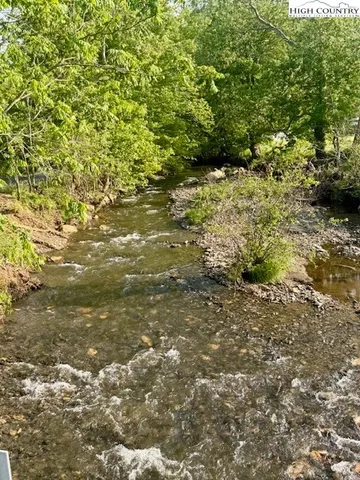 a view of a large yard with plants and trees