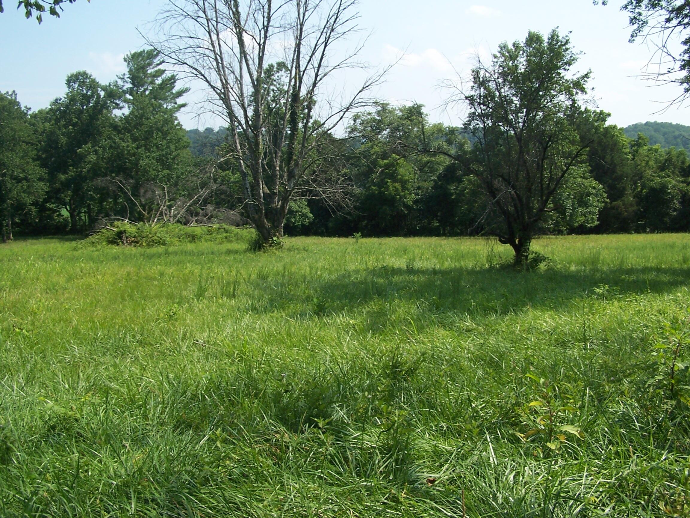 9622 Springwood Road Buchanan, VA 24066 - Photo 1 of 12 9622 Springwood Rd