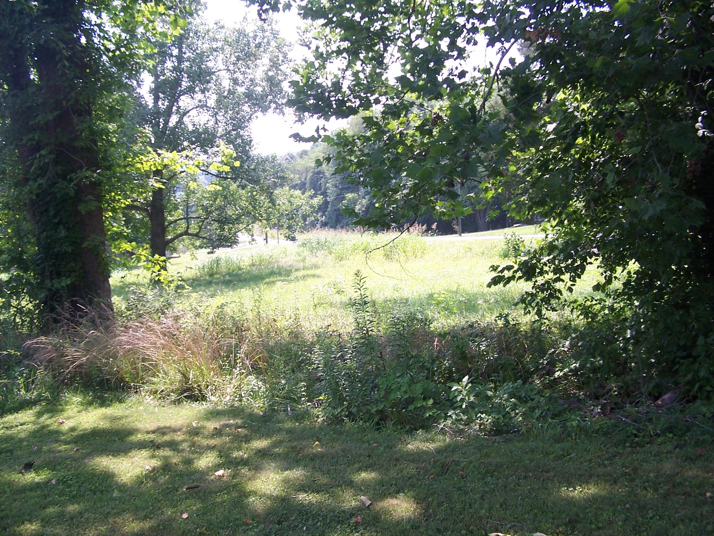 9622 Springwood Road Buchanan, VA 24066 - Photo 11 of 12 100_5142