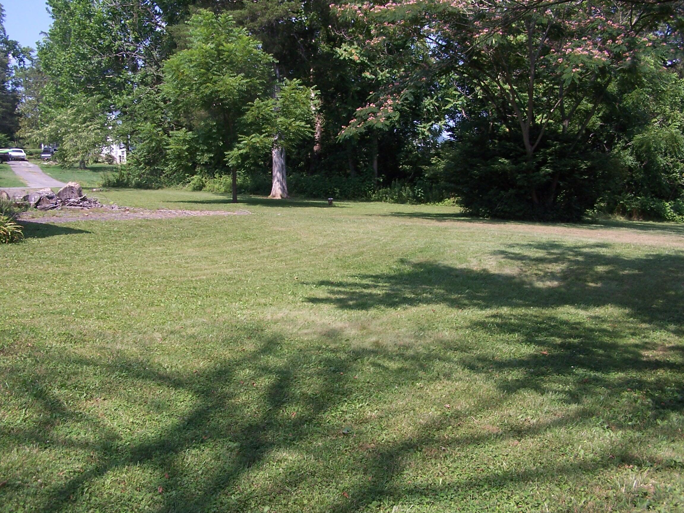 9622 Springwood Road Buchanan, VA 24066 - Photo 10 of 12 100_5141