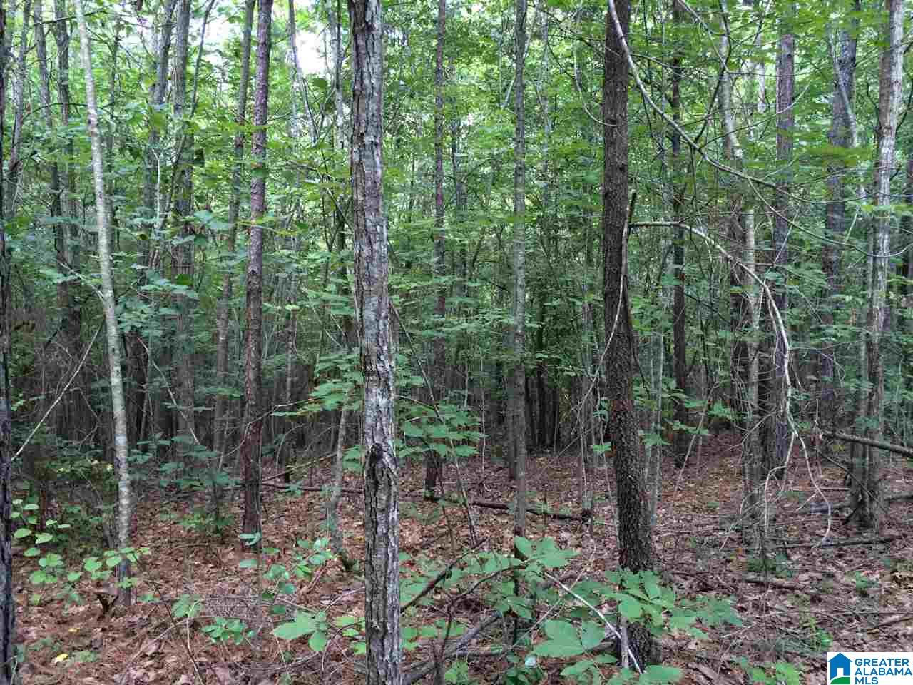 Spunky Hollow Road, Unit 18 7 Oneonta, AL 35121 - Photo 26 of 46