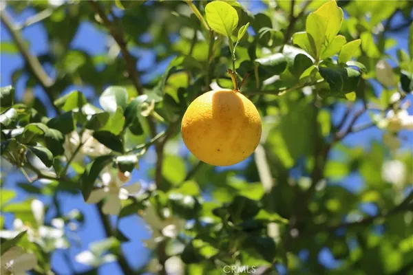 $459,000 | 4907 Daffodil Drive, Mariposa, CA 95338