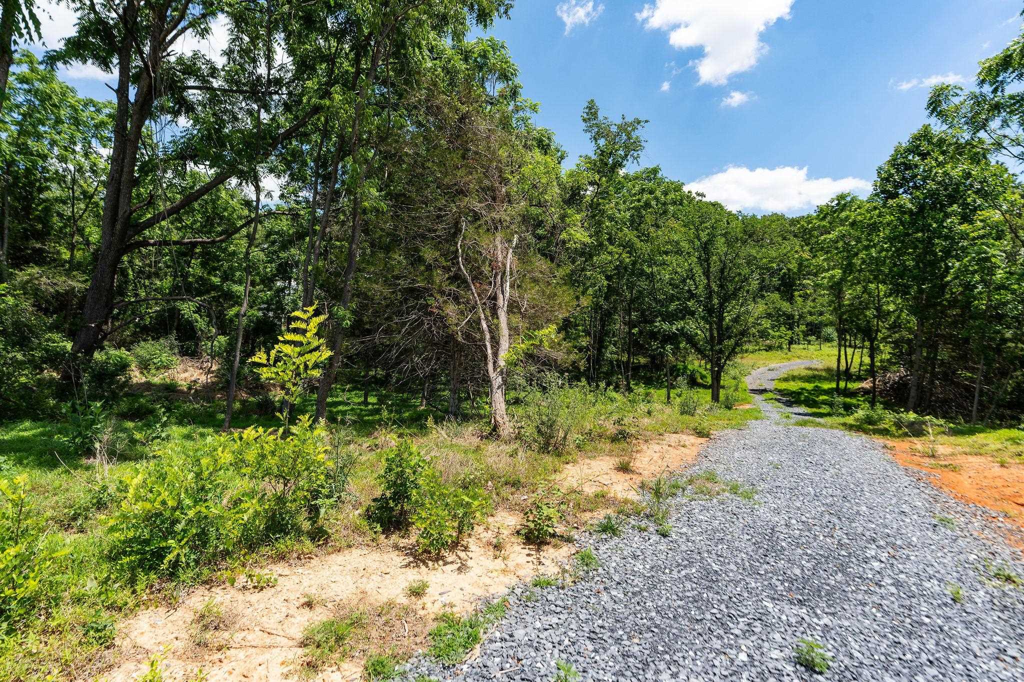 Mill Road Staunton, VA 24401 - Photo 5 of 29