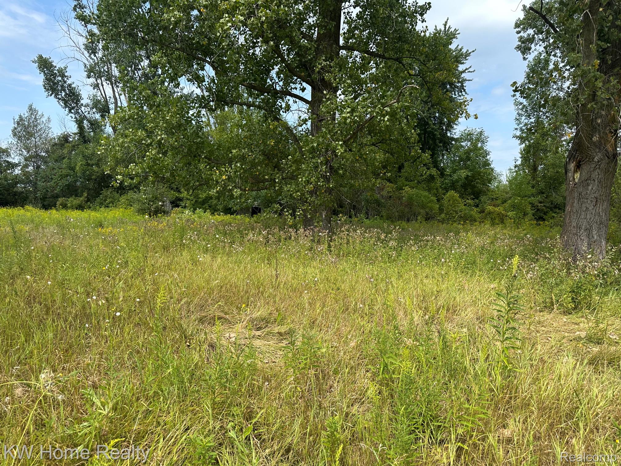 2911 Sanilac Road Caro, MI 48723 - Photo 4 of 8 Expansive open field with natural grasses, surrounded by mature trees
