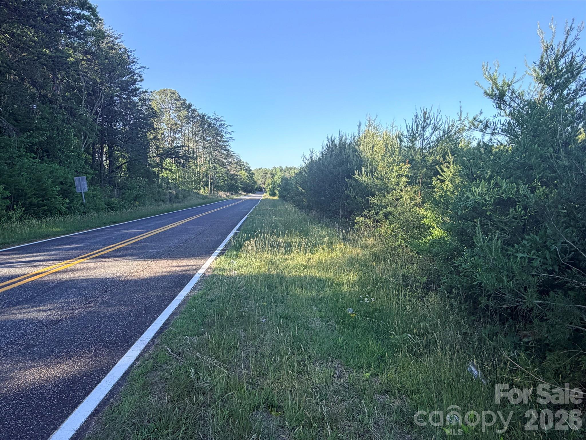 Lot 2 Doggett Grove Road Forest City, NC 28043 - Photo 6 of 6
