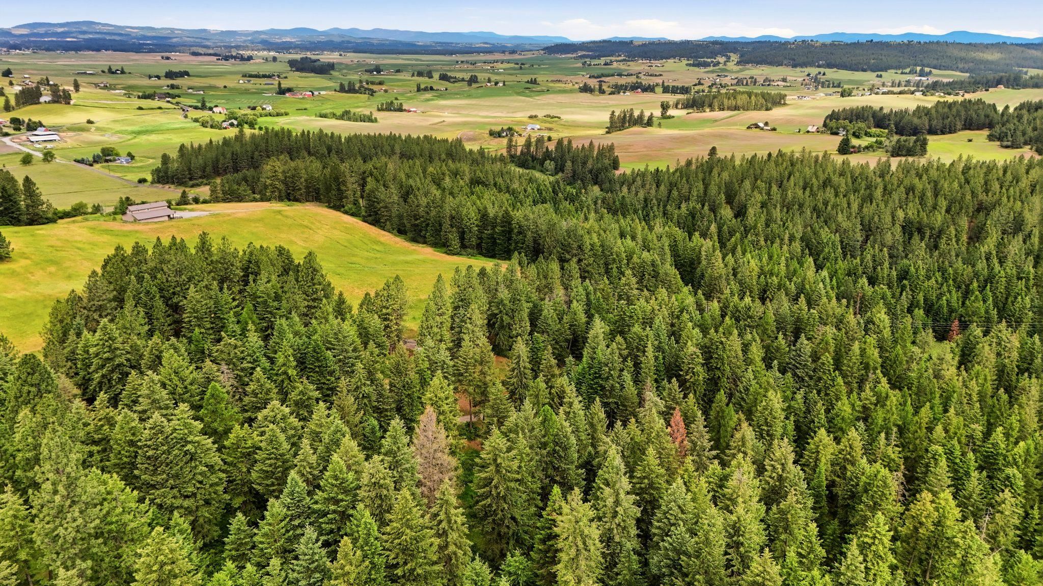 12112 East Burnett Road Mead, WA 99021 - Photo 15 of 23