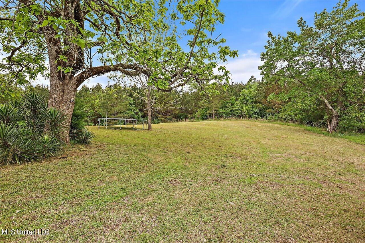 504 Martin Road Carthage, MS 39051 - Photo 33 of 33 36-504 Martin Rd