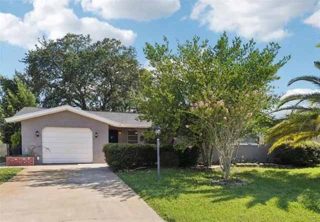 a view of a house with a yard and large tree