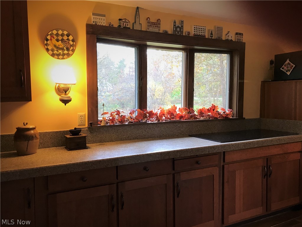 14249 Sperry Road Newbury, OH 44065 - Photo 6 of 33 Gallery Image 6