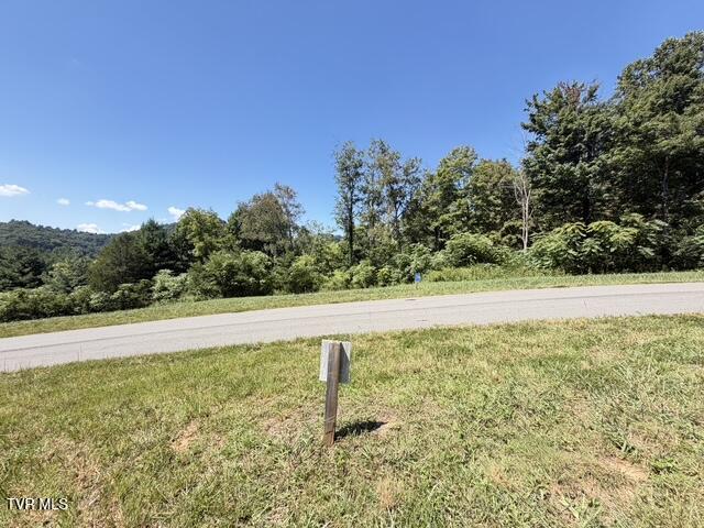 35 Cowan Town Road, Unit 35 Butler, TN 37640 - Photo 4 of 17 View from Lot 35
