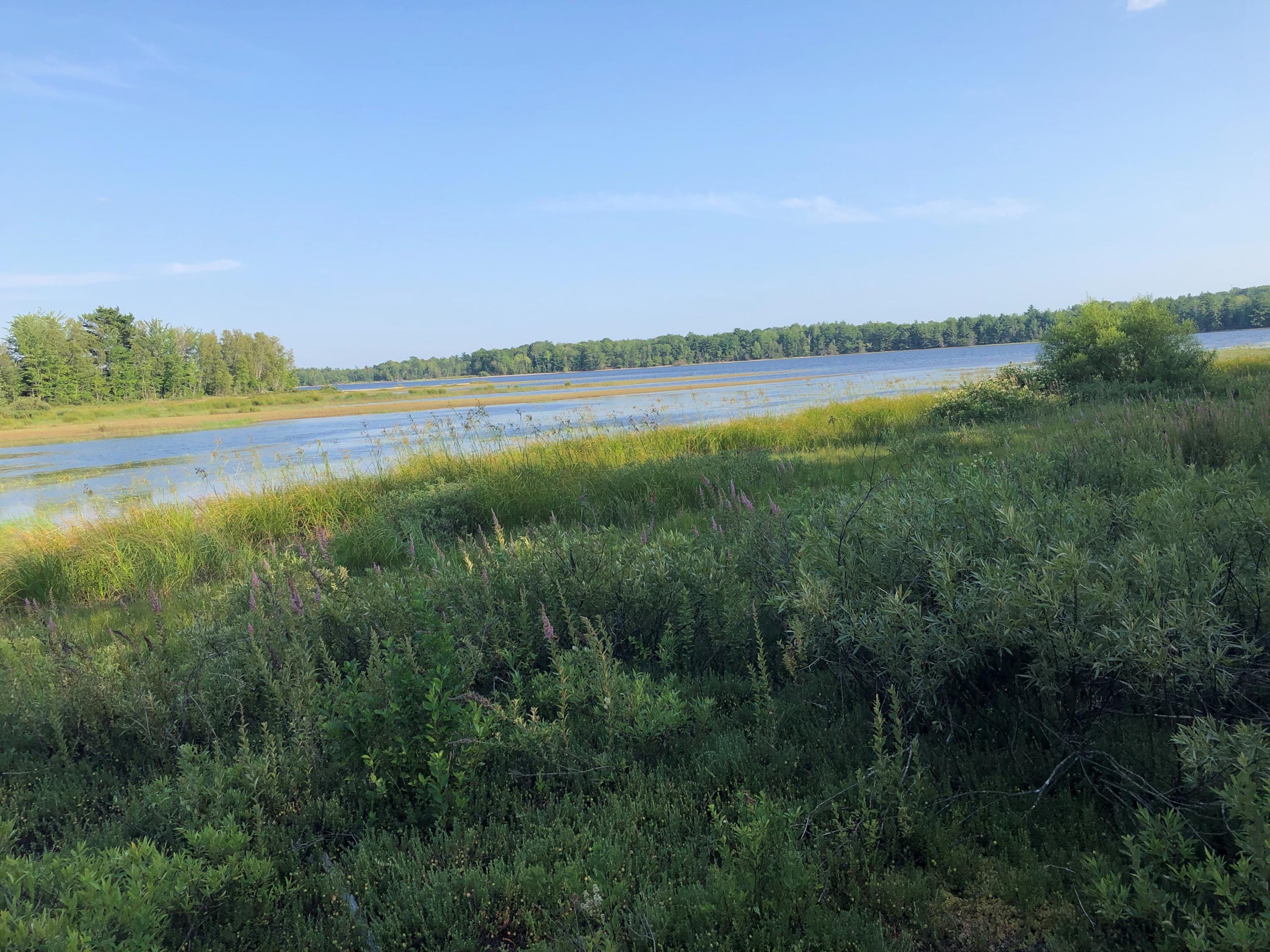 Lot 4 Morrison Farm Road Ellsworth, ME 04605 - Photo 2 of 6 water