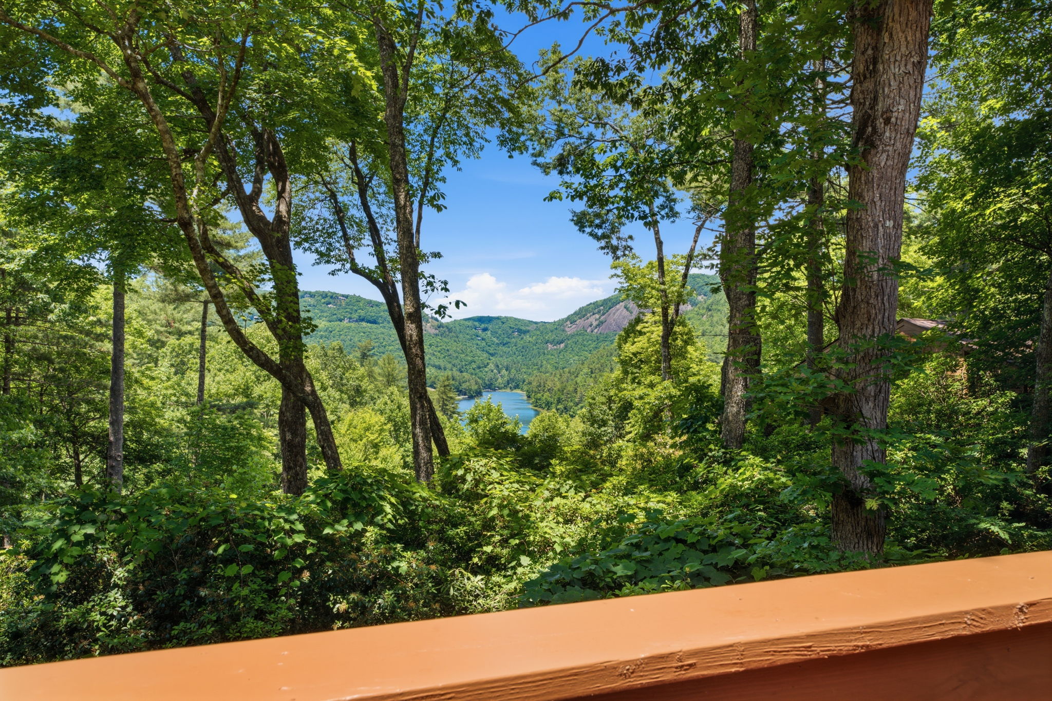 122 Emerald Ridge Road, Unit 47 Sapphire, NC 28774 - Photo 7 of 60 Gallery Image 7