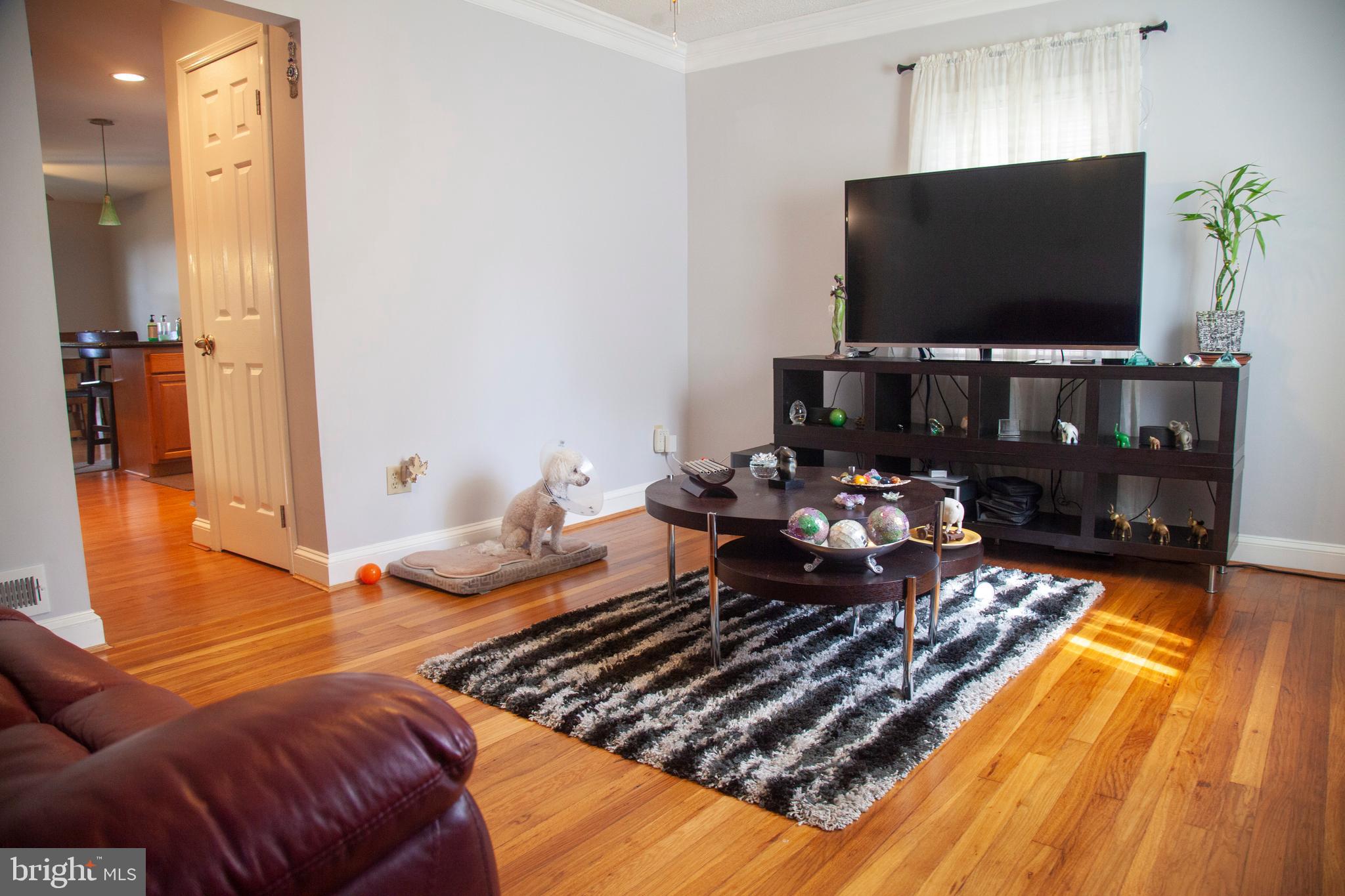 11503 Goodloe Road Silver Spring, MD 20906 - Photo 8 of 38