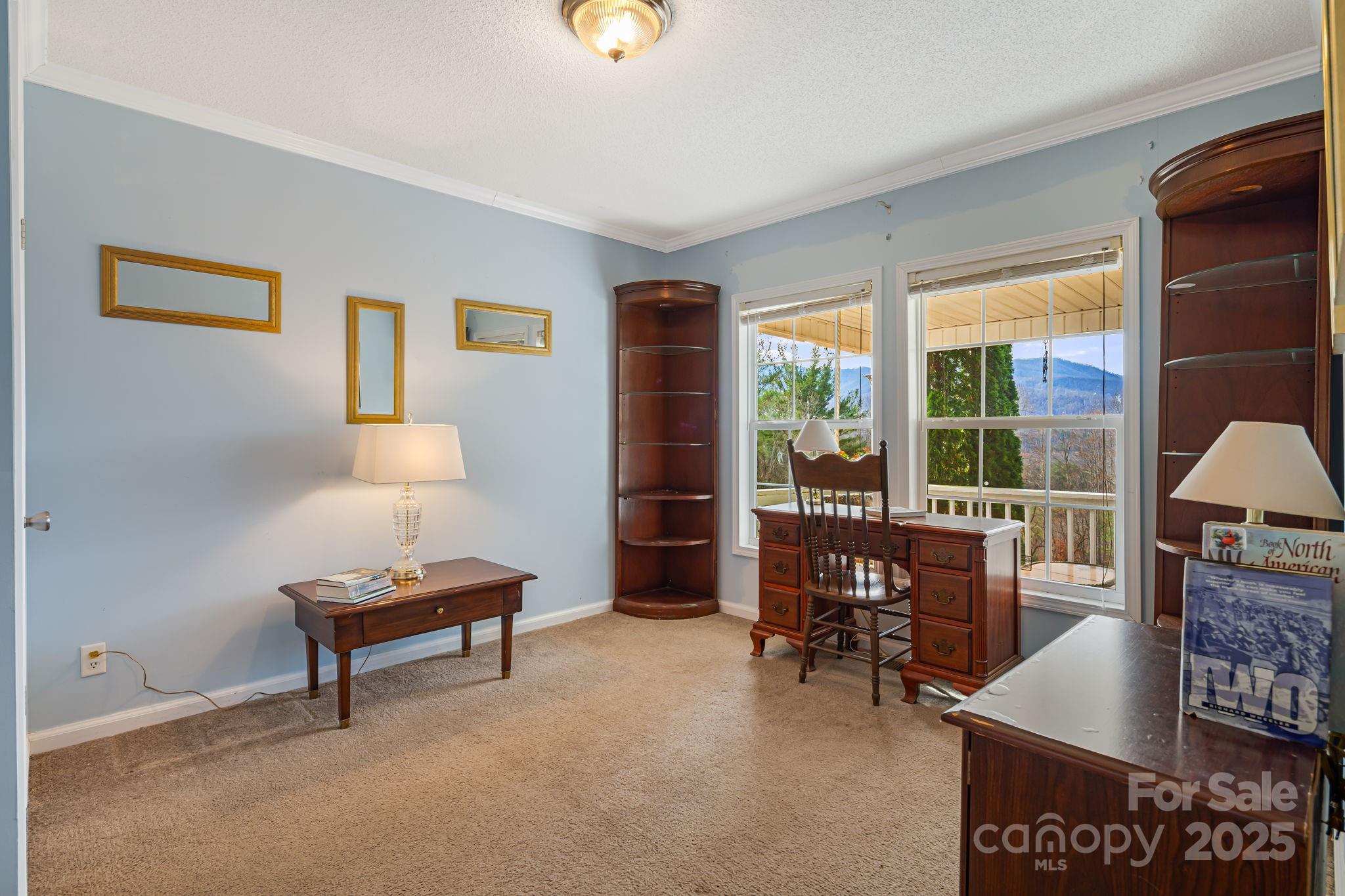 686 Sam Jones Road Burnsville, NC 28714 - Photo 19 of 41 a living room with furniture and a lamp