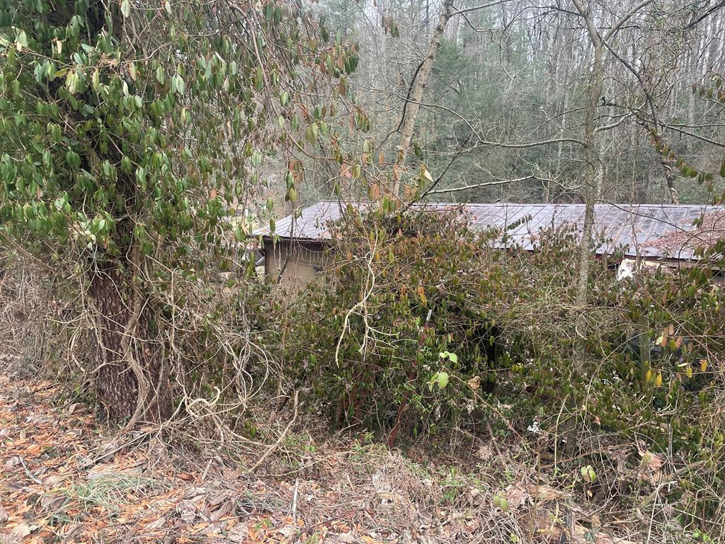 1164 Oakgrove Road Murphy, NC 28906 - Photo 7 of 10