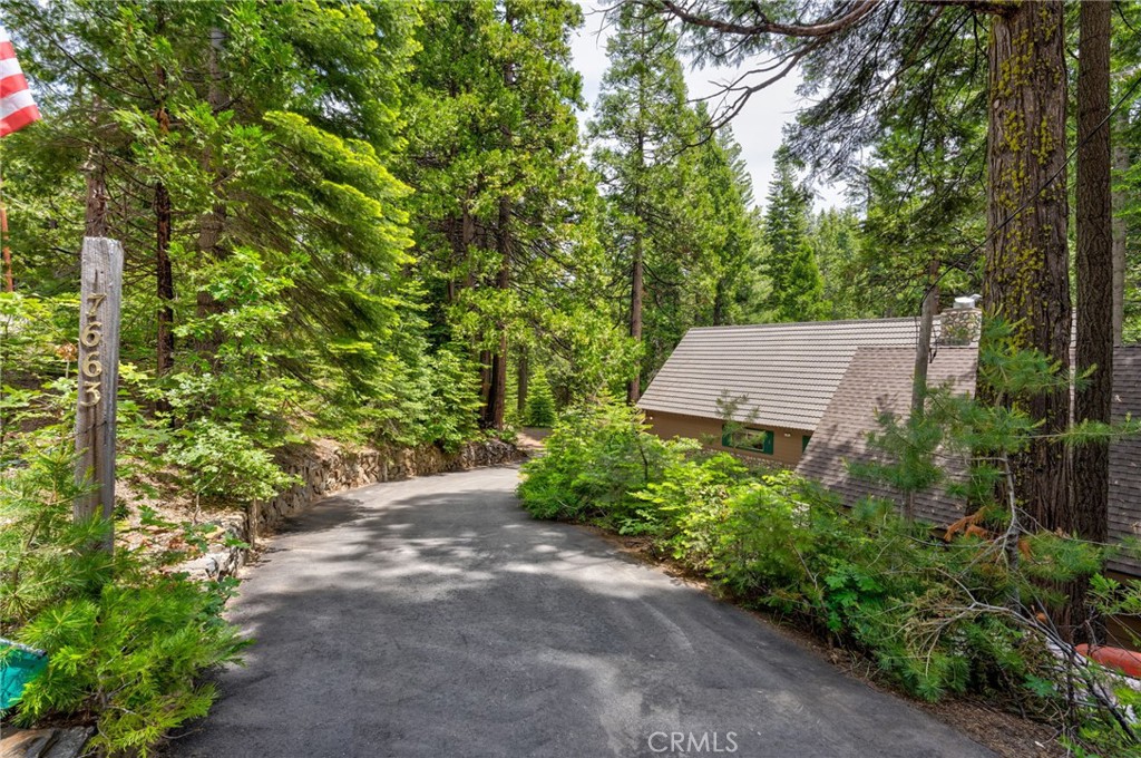 7663 Forest Drive Fish Camp, CA 93623 - Photo 35 of 43 a view of a pathway both side of yard