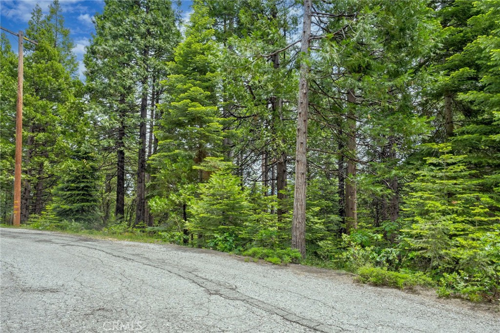 7663 Forest Drive Fish Camp, CA 93623 - Photo 37 of 43 a view of a yard with plants and trees