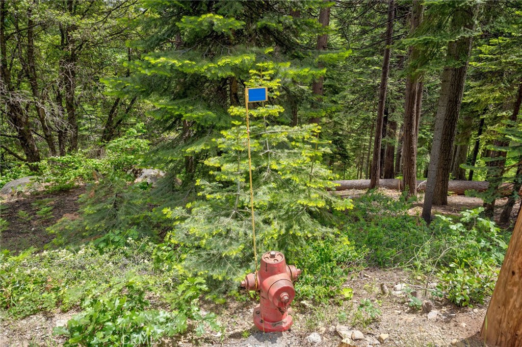 7663 Forest Drive Fish Camp, CA 93623 - Photo 38 of 43 a yellow building with trees in the background