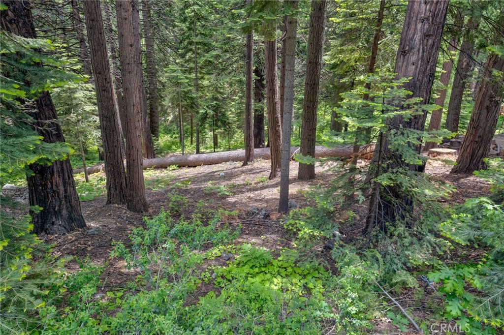 7663 Forest Drive Fish Camp, CA 93623 - Photo 39 of 43 a view of a tree in the garden