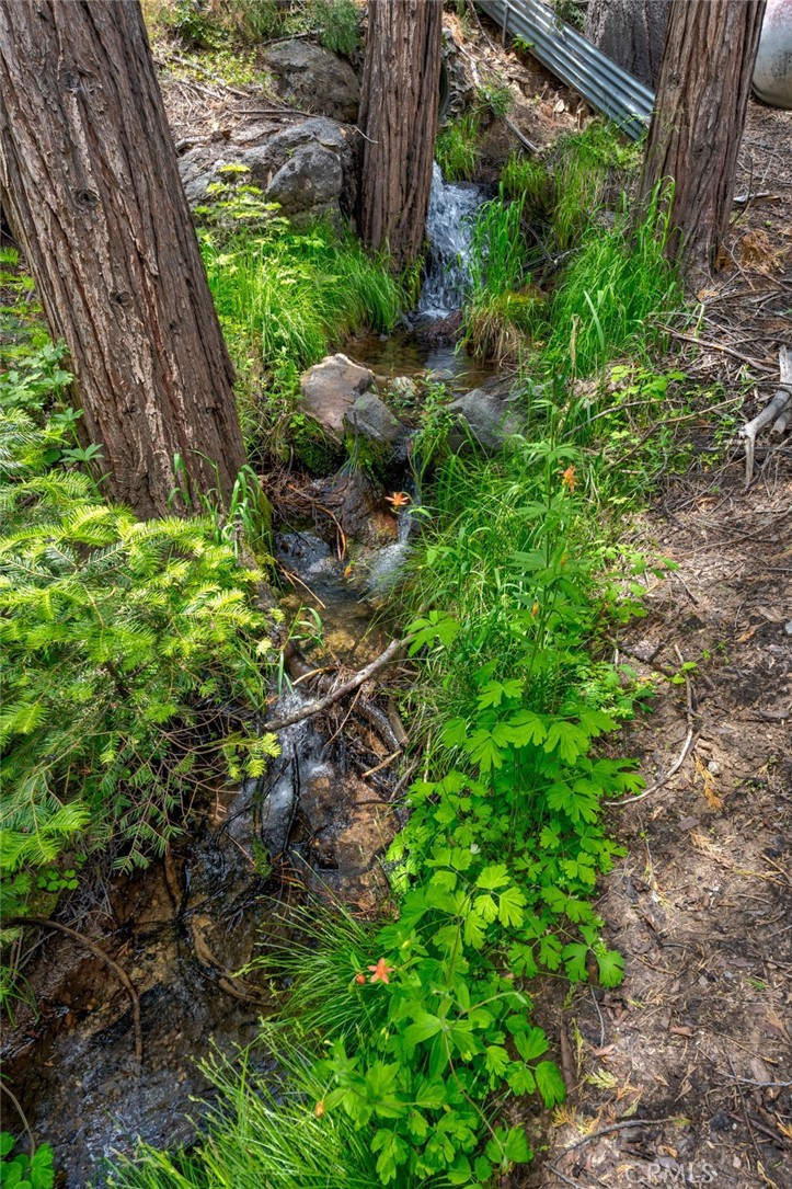 7663 Forest Drive Fish Camp, CA 93623 - Photo 40 of 43 a backyard of a house with lots of green space