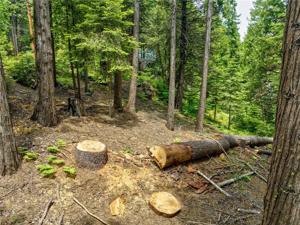 7663 Forest Drive Fish Camp, CA 93623 - Photo 42 of 43 a view of a backyard with table and chairs and potted plants