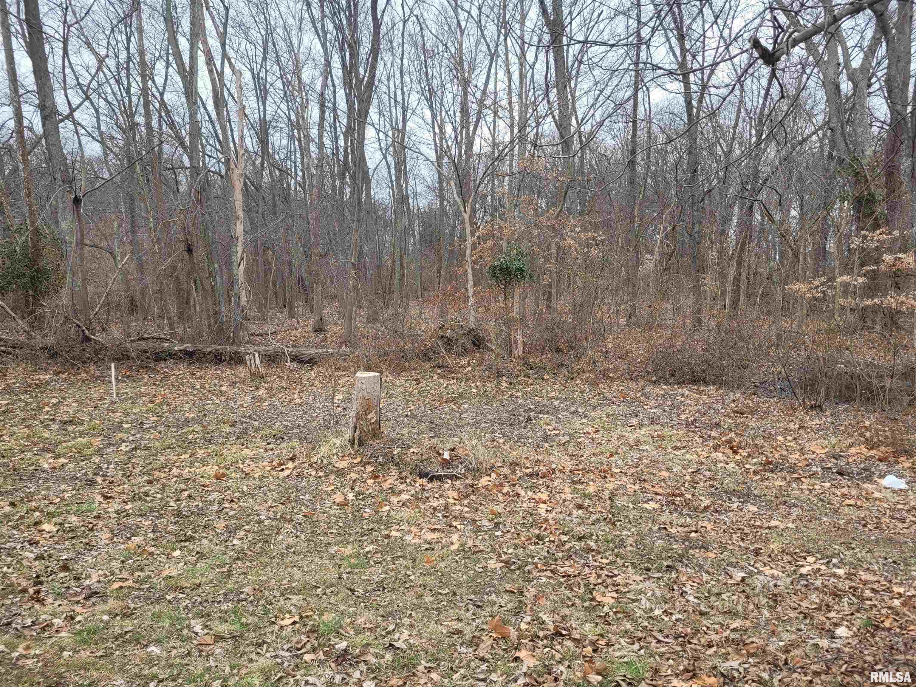 4719 East Richview Road Mount Vernon, IL 62864 - Photo 45 of 49