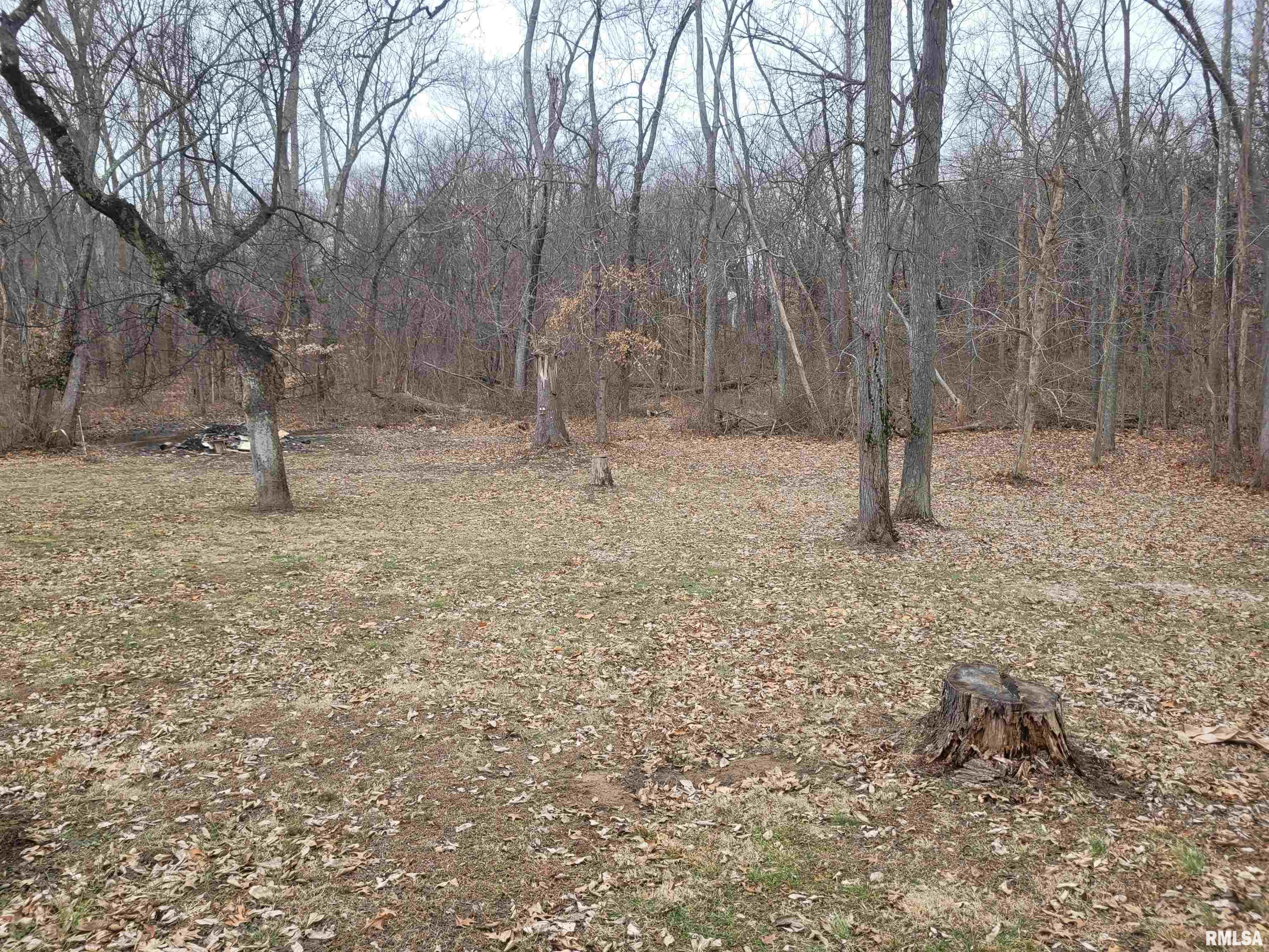 4719 East Richview Road Mount Vernon, IL 62864 - Photo 5 of 49